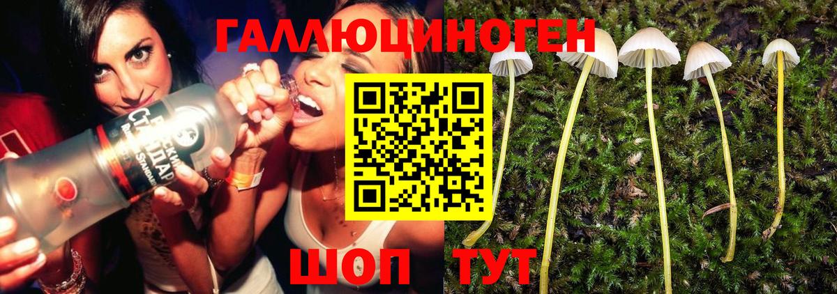 Псилоцибиновые грибы MAGIC MUSHROOMS  Вход с VPN  Грязи 