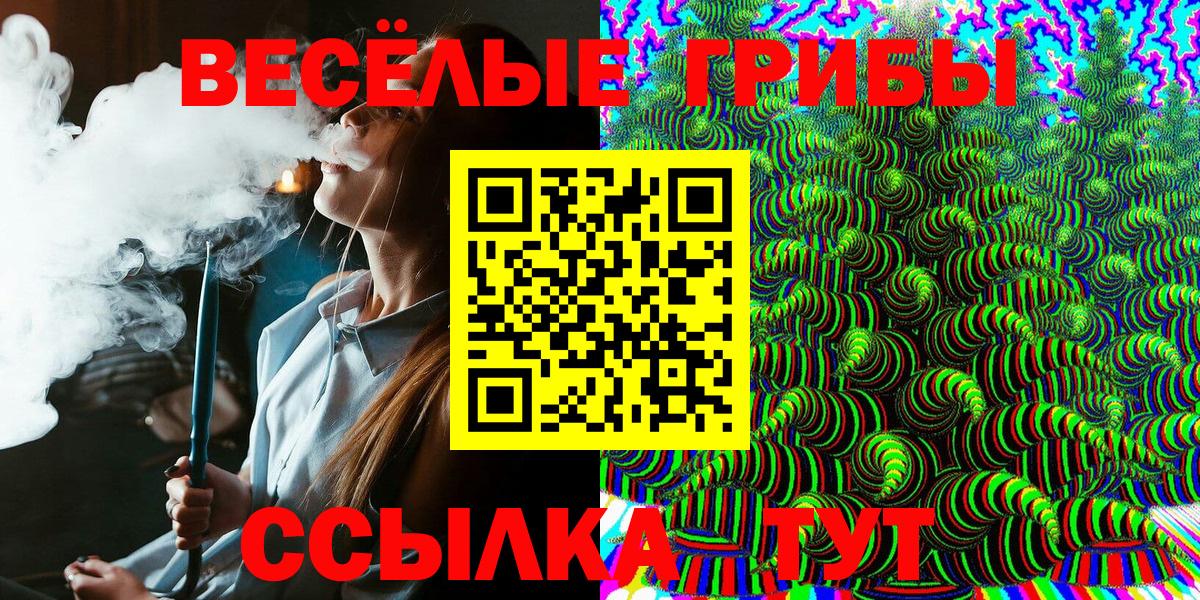 Псилоцибиновые грибы мицелий Грязи